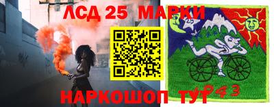 индика Кандалакша