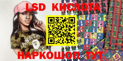 индика Кандалакша
