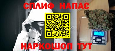 прущие крисы Камышлов