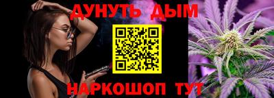 индика Кандалакша