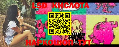 прущие крисы Камышлов