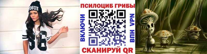 kraken   наркошоп  Стрежевой  Галлюциногенные грибы Magic Shrooms 