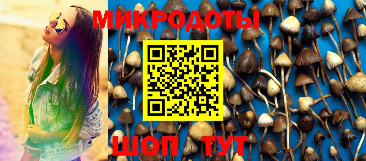 Псилоцибиновые грибы Psilocybine cubensis  цены наркотик  Галлюциногенные грибы Psilocybine cubensis  Стрежевой  Вход с VPN 